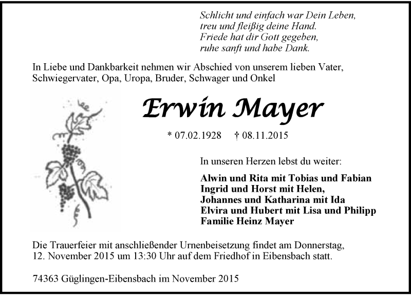  Traueranzeige für Erwin Mayer vom 10.11.2015 aus 